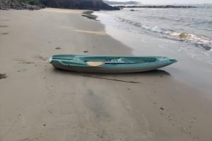 WhatsApp Image 2022-03-01 at 8.47.31 PM